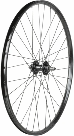 BONTRAGER Connection Schrader 6-Bolt Disc 29" MTB Wheel Rear
